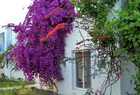Hotel Tamarisc 4*