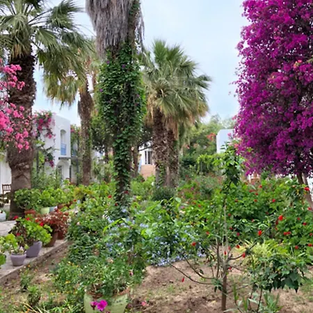 Hotel Tamarisc 4*